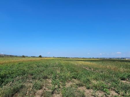  Terreno in Vendita 30.000 m² a Gose, Kavajë – Opportunità d'Oro per Investire!