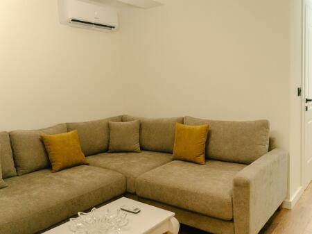 APARTAMENT ME QERA - BLLOK Jepet apartament 1+1 me qera. I sapo restauruar . Rruga Abdyl frasheri. Bllok. 1000€