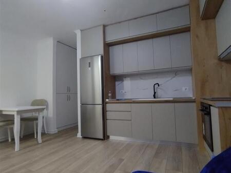 Selite, apartment 1+1 for rent! 450 Euro