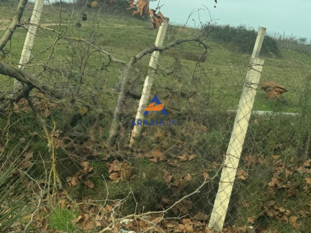 LAND FOR RENT 600M2 "FARKË" 1000 EURO