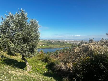  TERRENO ULIVETO IN VENDITA VICINO ALL'AGROTURISMO ULLISHTJA DURRES