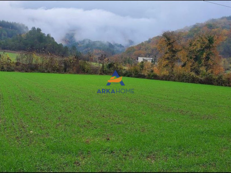 SHITET TOKE ARE SIP 3500M2 "PETRELE" 90€/M2