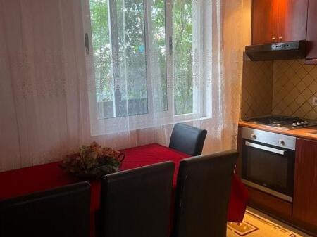 Casa in affitto, per abitare in Villa 1+1, ID Elar2 13864 - € 410