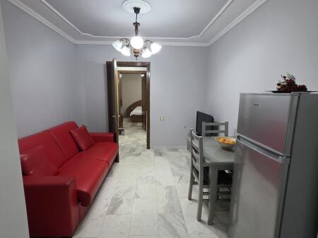 For rent 1+1, near Dinamo stadium