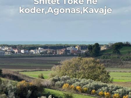  Shitet toke ne koder me pamje deti,Agonas,Golem