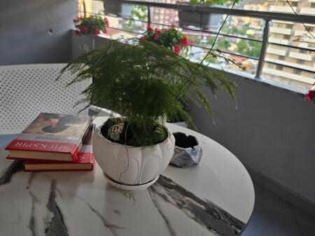 Appartamento 1+1 in affitto a lungo termine all'inizio di Lungomare Vlore