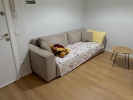 Apartament me qera 1+1 5 Maj
