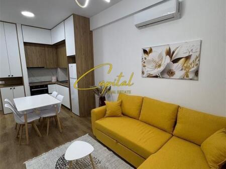 APARTMENT FOR RENT 1+1 ALI DEMI 450 EURO