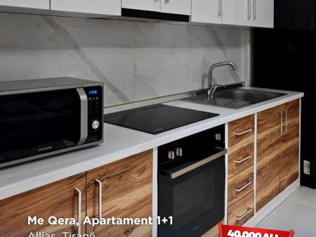 1+1 apartment for rent in allias