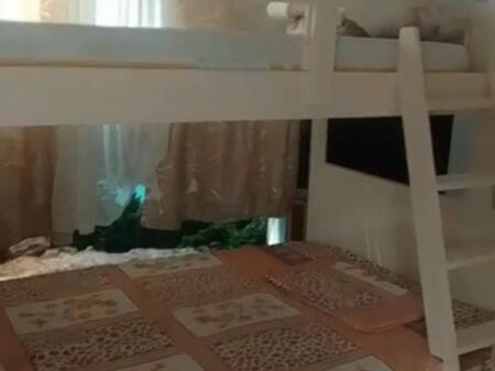 Studio apartment for rent