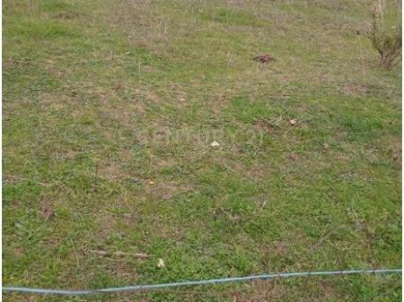 Terreno in vendita 500 m² a Kombinat!
