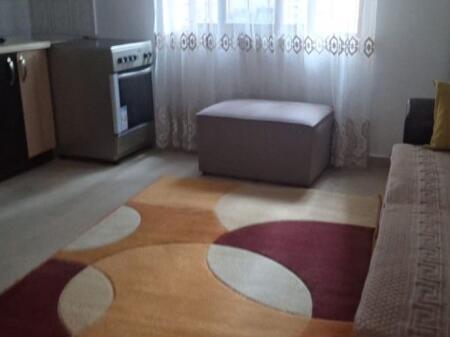 Apartament 1+1 me qera kati 1 i nje vile ID 13945