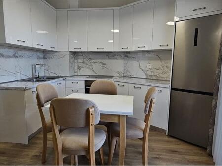 APARTMENT 1+1+PARKING SPACE FOR RENT AT RIVER REZIDENCE 1