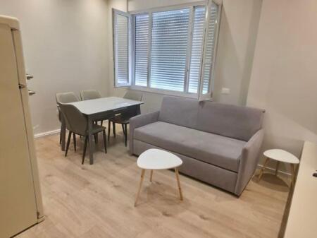  Appartamento 1+1 in affitto  Centro, Tirana – vicino agli edifici di 9 piani