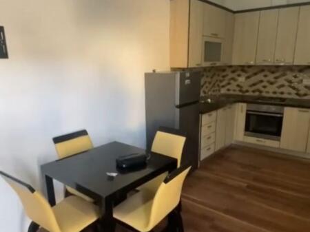 APARTMENT FOR RENT 1+1 DRY LAKE 50,000 LEKE