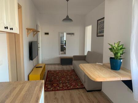 Apartment 1+1 for rent at Komuna e Parisit near Ola Fast