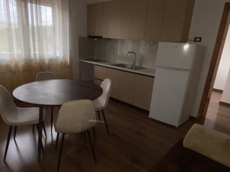  Jepet me Qira Apartament 1+1 – Liqeni Artificial   