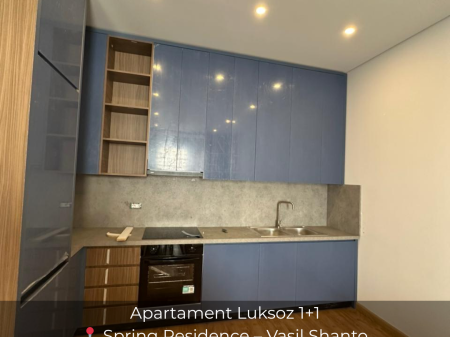 Apartment for rent 1+1 + parking space  Spring Residence – Vasil Shanto