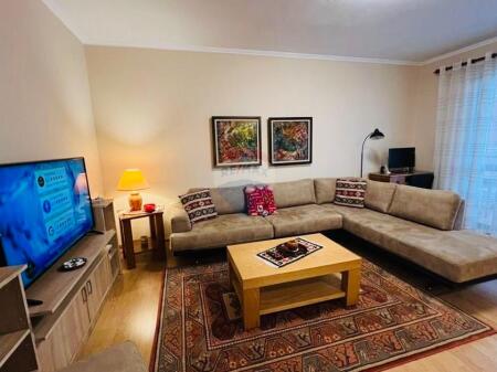 Apartment 1+1 Center