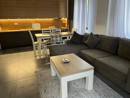 Apartment for rent 1+1 in Selite