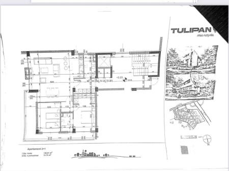 Occasione – 2 Appartamenti 2+1 a Tulipan Residence  Residenza Tulipan – fase delle piastrelle