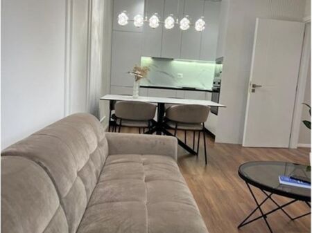 Apartment 1+1 for rent, Porcelain