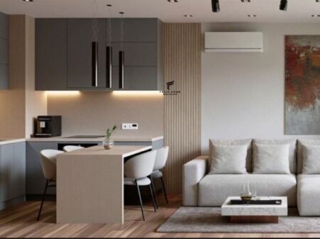 APARTMENT FOR RENT 1+1 ALI DEM 590 EURO