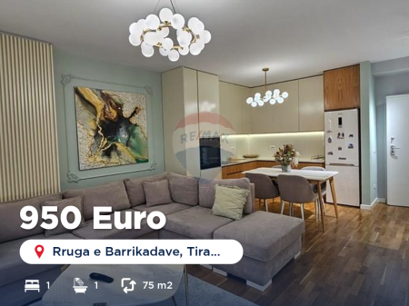 Apartment 1+1 for rent on Barricades Street!
