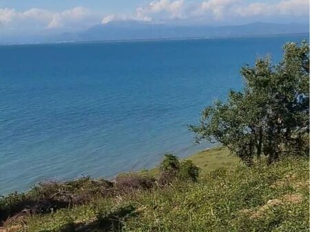 SHITET TOKË ME PAMJE PANORAMIKE NGA DETI – KEPI I RODONIT