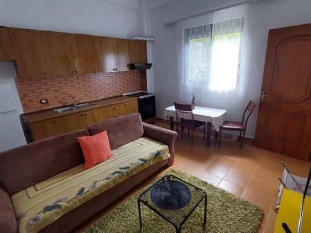 Apartament 1+1 me qera tek Rruga Jordan Misja (35,000 leke)