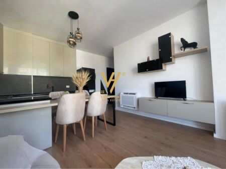 APARTMENT 1+1+BLK FOR RENT AT JORDAN MISJA 55,000 LEKE