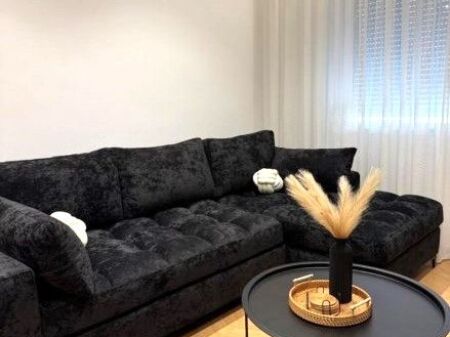 For Rent Luxury 1+1 Apartment Artificial Lake,
