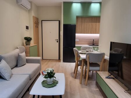 Apartment 1+1 for rent Myslym Shyr