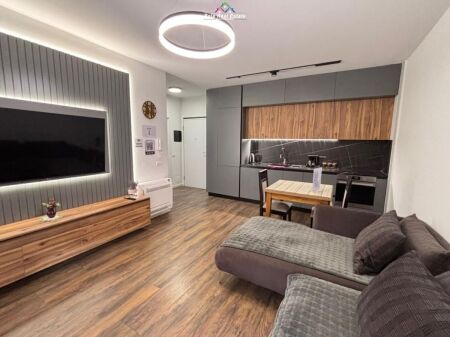 Apartment for Rent 1+1 Near Komuna E Parisit (ID B2101487) Tirane