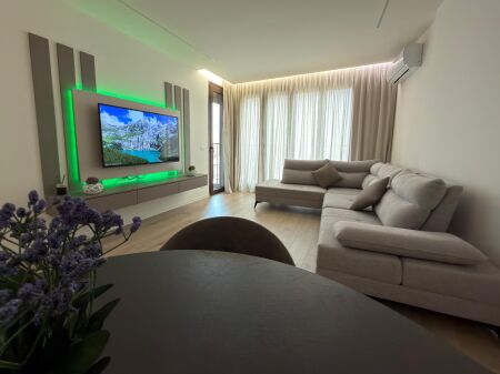 APARTMENT 1+1 FOR RENT IN THE CENTER  BARRICADA STREET