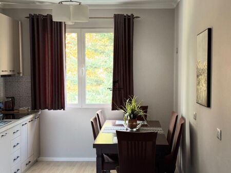 APARTMENT FOR RENT 2+1 LAPRAKE 450 EURO