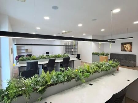  Modern office space for rent at Delijorgji Complex
