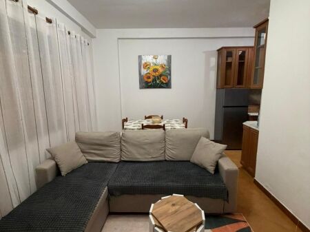 APARTMENT FOR RENT 1+1 PARIS MUNICIPALITY 60,000 LEKE