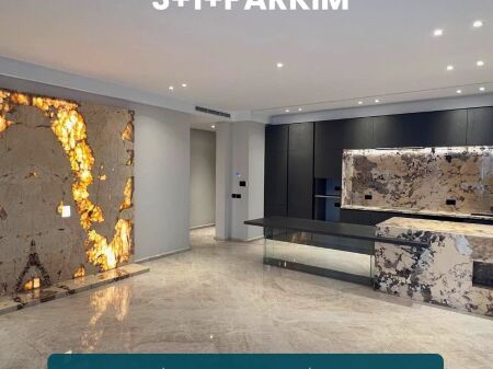 3+1+2+Parkim ne Rr.Elbasani, ndertim i 2020!