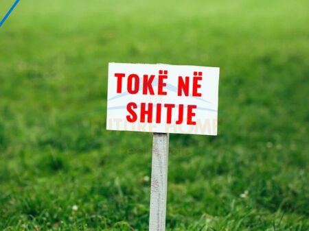 Shitet, Toke, Dajt, Tirane