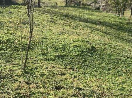 LAND AND OLD STONE HOUSE FOR SALE IN BALDUSHK