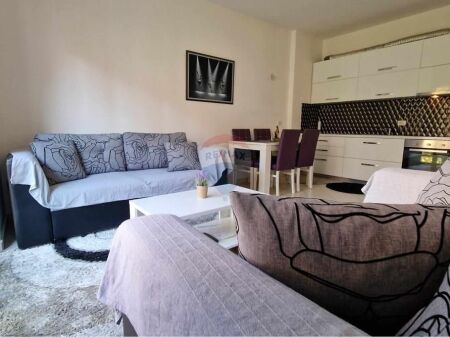 Apartment 1+1 for Rent