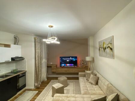 Apartment 1+1 for rent