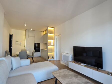 Apartment 1+1 for rent