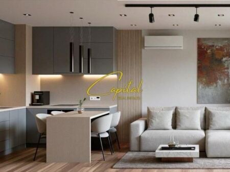 APARTMENT FOR RENT 1+1 ALI DEMI 590 EURO