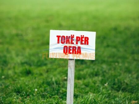 Rent, Land, TEG