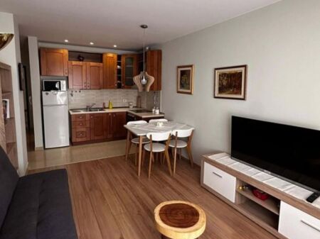  Modern 1+1 apartment for rent