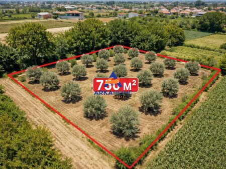 TERRENO IN VENDITA 750M2 "STRADA AULONA, FIER" 45.500 EURO