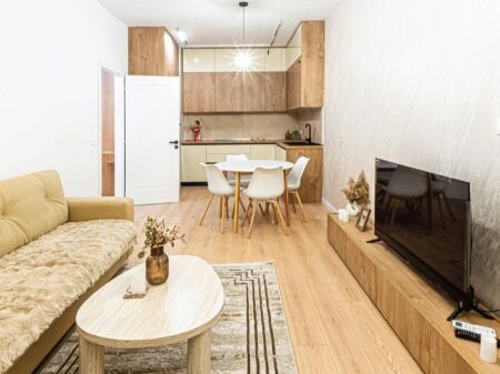 2+1 apartment for rent in the Center near Galeria.