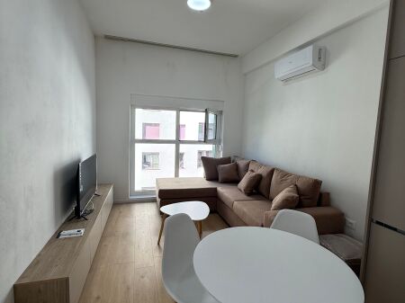 Apartment 1+1 for rent